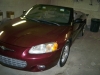 july 2010 029.jpg